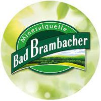 Logo Bad Brambacher